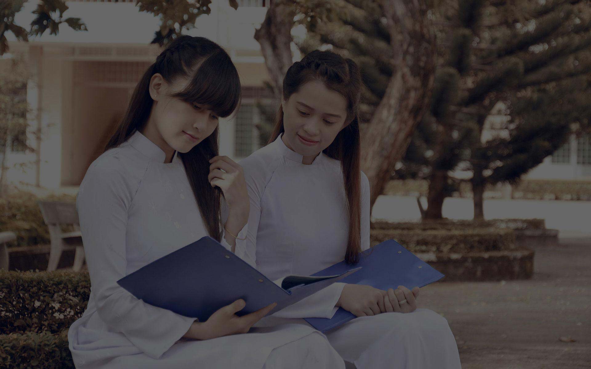 无病毒无后门的ddos压力在线测试平台